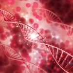 Leidenská Mutace Leiden mutation